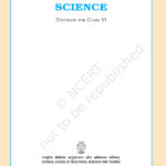 Class 6th (Science)