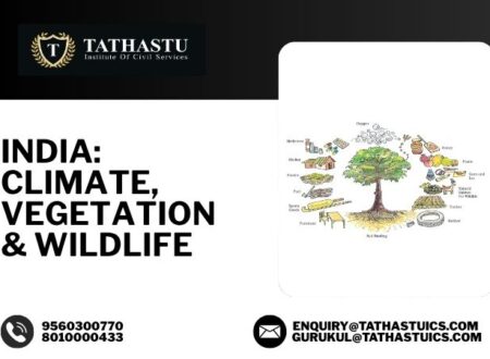 Natural Vegetation in India Types of Forests in India